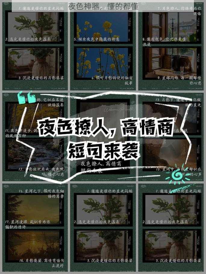 夜色神器,懂的都懂