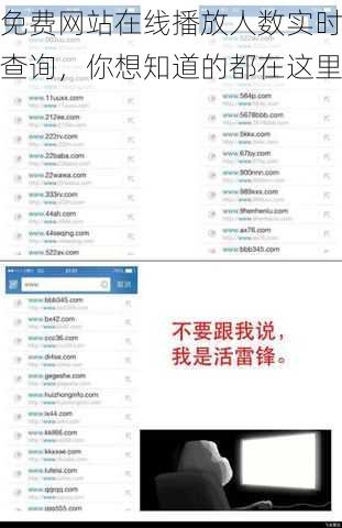 免费网站在线播放人数实时查询,你想知道的都在这里