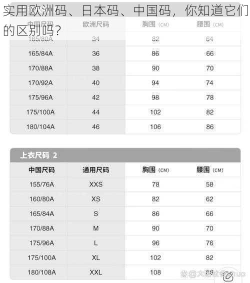 实用欧洲码、日本码、中国码,你知道它们的区别吗?