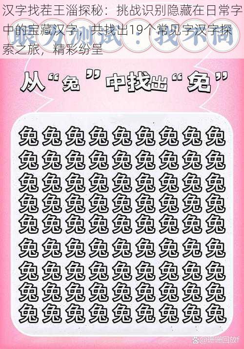 汉字找茬王淄探秘:挑战识别隐藏在日常字中的宝藏汉字,共找出19个常见字汉字探索之旅,精彩纷呈