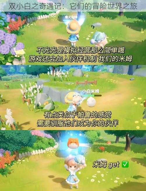 双小白之奇遇记:它们的冒险世界之旅