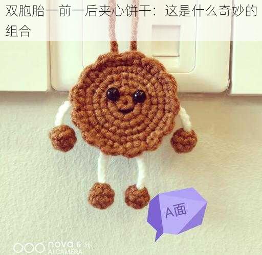 双胞胎一前一后夹心饼干:这是什么奇妙的组合
