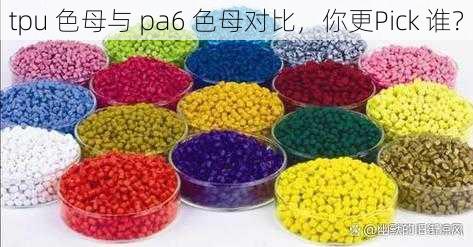 tpu 色母与 pa6 色母对比,你更Pick 谁?