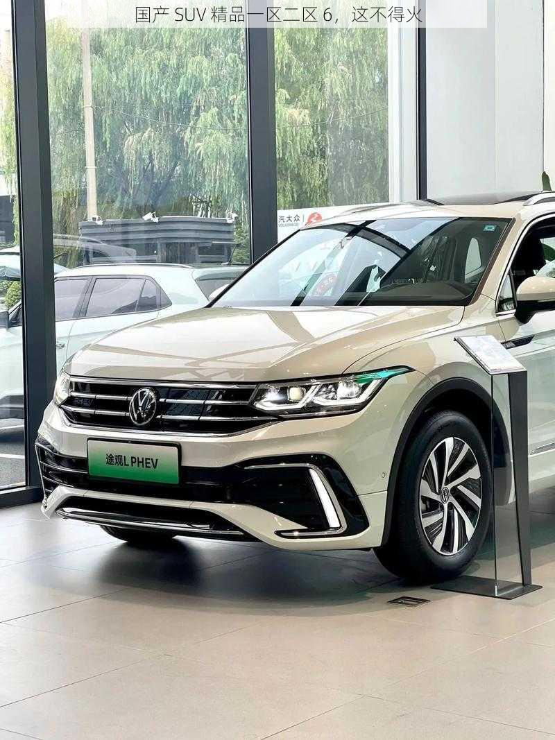 国产 SUV 精品一区二区 6,这不得火