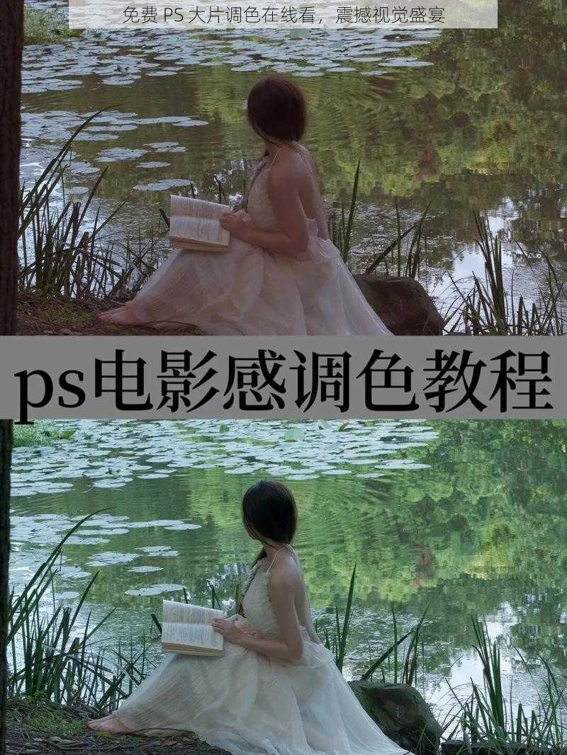 免费 PS 大片调色在线看,震撼视觉盛宴