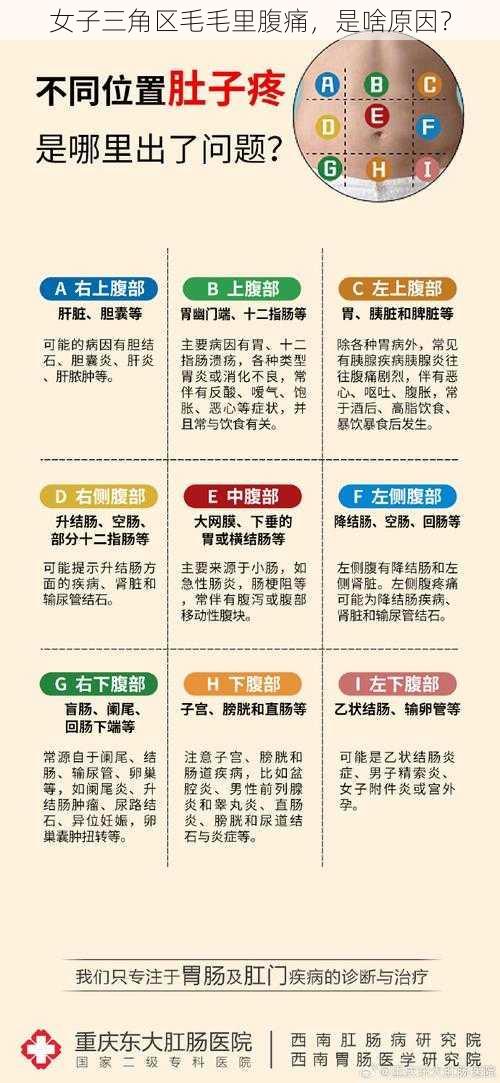 女子三角区毛毛里腹痛,是啥原因?