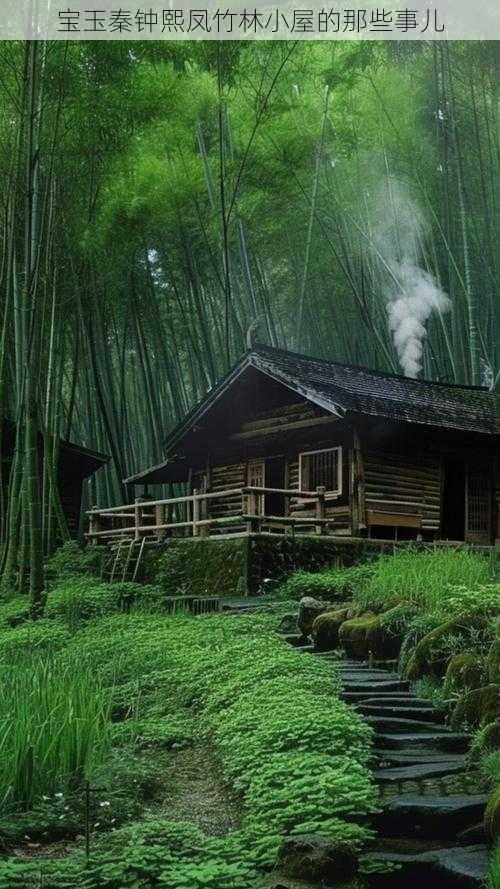 宝玉秦钟熙凤竹林小屋的那些事儿