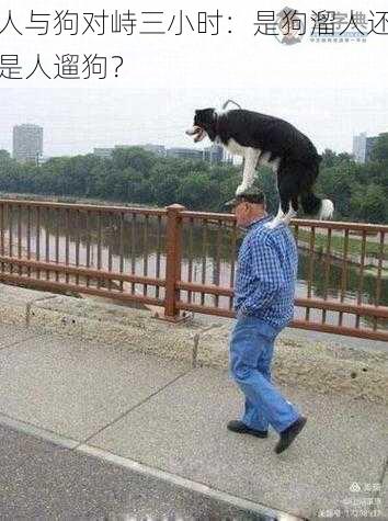 人与狗对峙三小时:是狗溜人还是人遛狗?