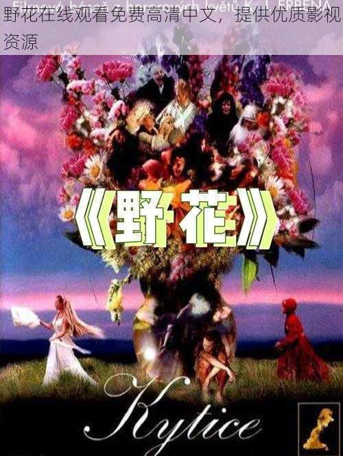 野花在线观看免费高清中文,提供优质影视资源