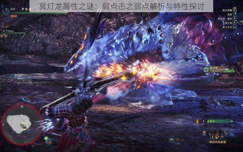冥灯龙属性之谜:弱点击之弱点解析与特性探讨