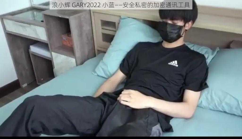 浪小辉 GARY2022 小蓝——安全私密的加密通讯工具