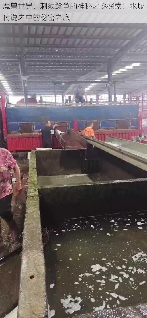 魔兽世界:刺须鲶鱼的神秘之谜探索:水域传说之中的秘密之旅