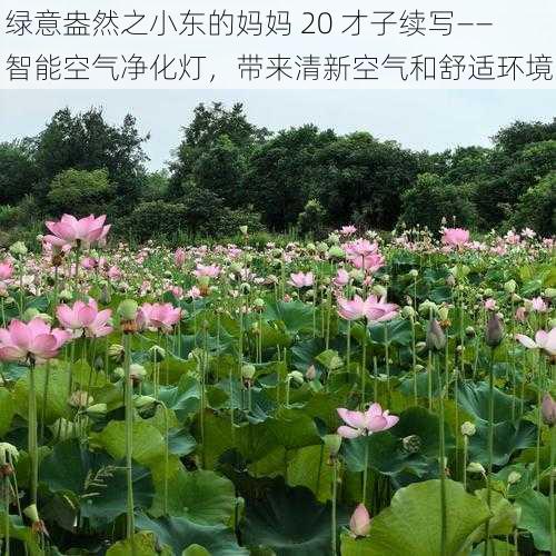 绿意盎然之小东的妈妈 20 才子续写——智能空气净化灯,带来清新空气和舒适环境