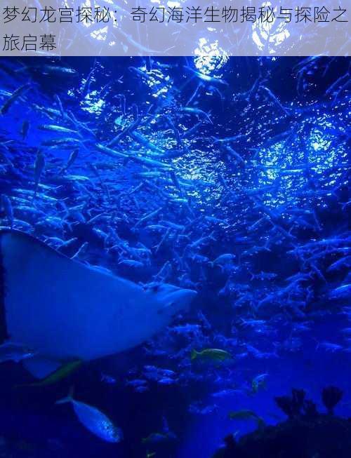 梦幻龙宫探秘:奇幻海洋生物揭秘与探险之旅启幕