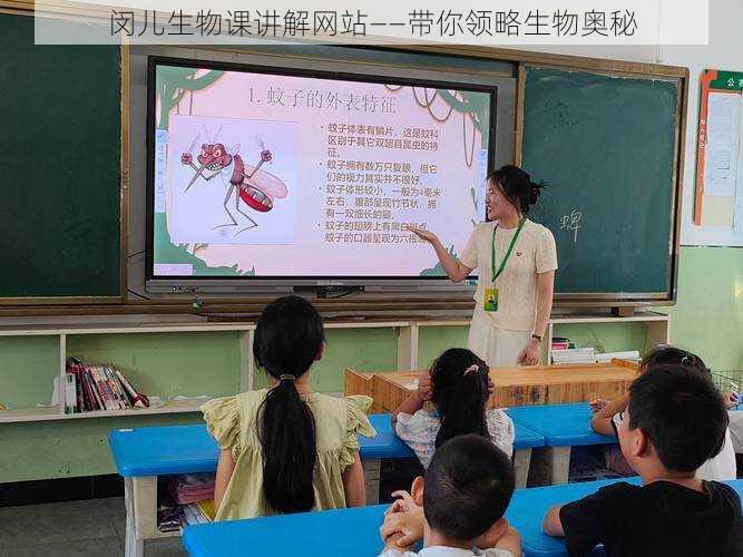 闵儿生物课讲解网站——带你领略生物奥秘