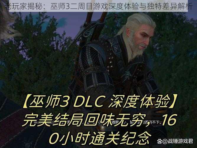 老玩家揭秘:巫师3二周目游戏深度体验与独特差异解析