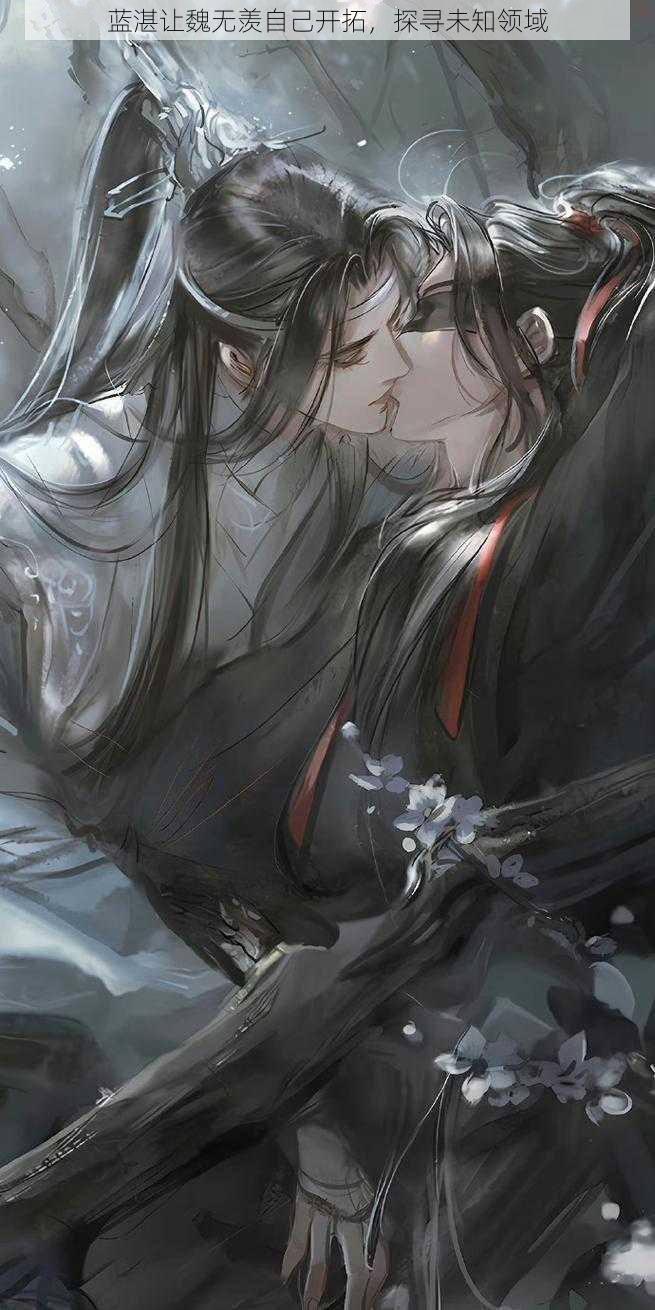 蓝湛让魏无羡自己开拓,探寻未知领域