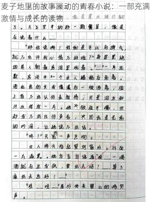 麦子地里的故事躁动的青春小说:一部充满激情与成长的读物