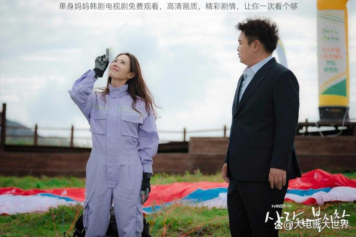 单身妈妈韩剧电视剧免费观看,高清画质,精彩剧情,让你一次看个够