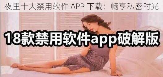 夜里十大禁用软件 APP 下载:畅享私密时光