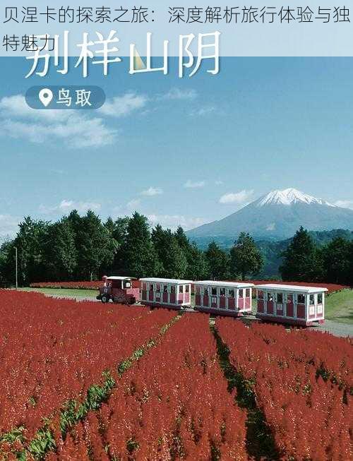 贝涅卡的探索之旅:深度解析旅行体验与独特魅力