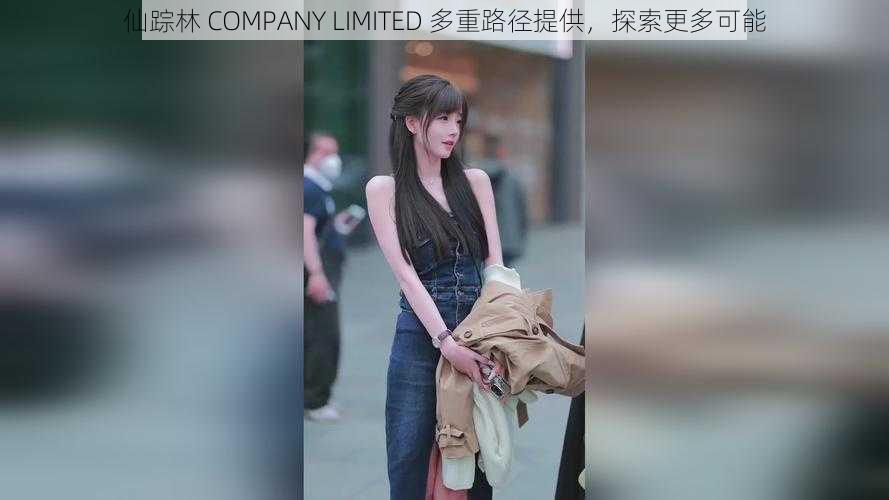 仙踪林 COMPANY LIMITED 多重路径提供,探索更多可能