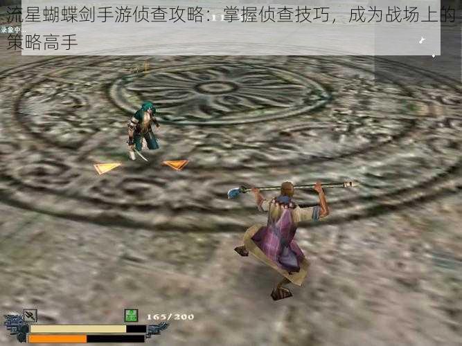流星蝴蝶剑手游侦查攻略:掌握侦查技巧,成为战场上的策略高手