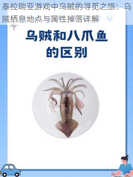 泰拉瑞亚游戏中乌贼的寻觅之旅:乌贼栖息地点与属性掉落详解