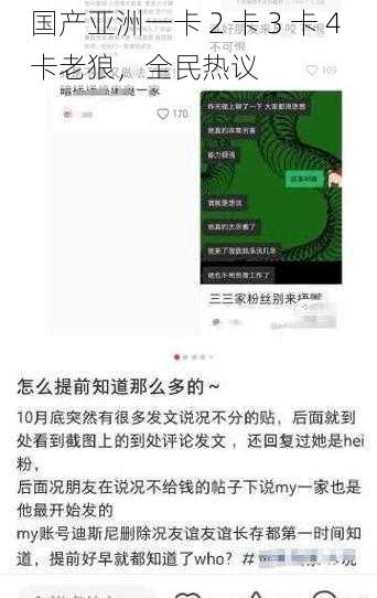 国产亚洲一卡 2 卡 3 卡 4 卡老狼,全民热议