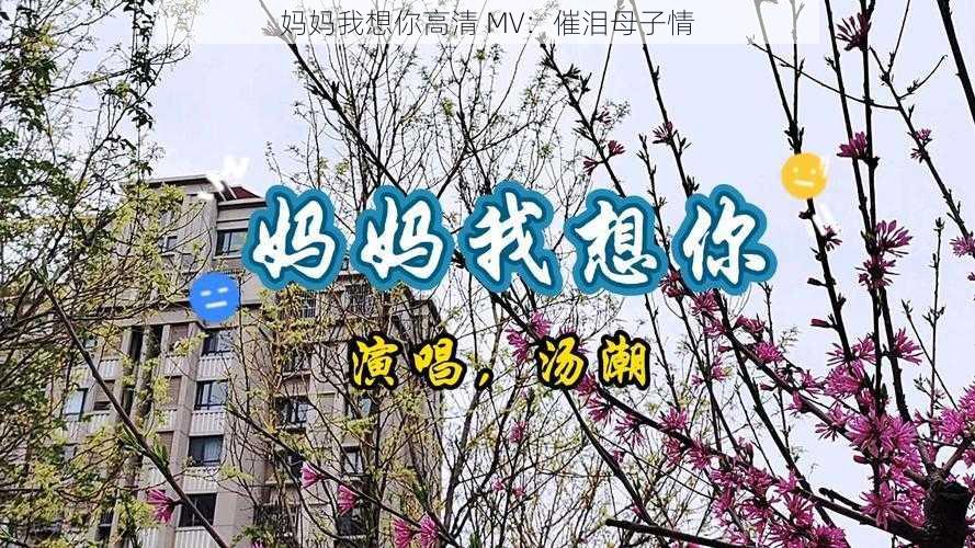 妈妈我想你高清 MV:催泪母子情