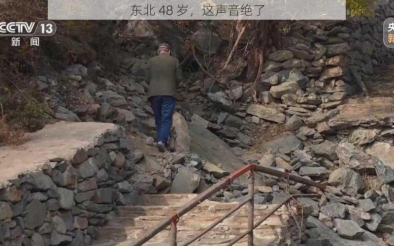 东北 48 岁,这声音绝了