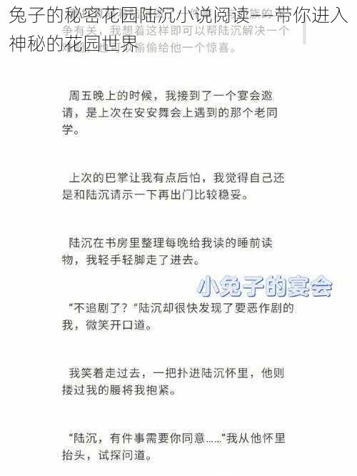 兔子的秘密花园陆沉小说阅读——带你进入神秘的花园世界