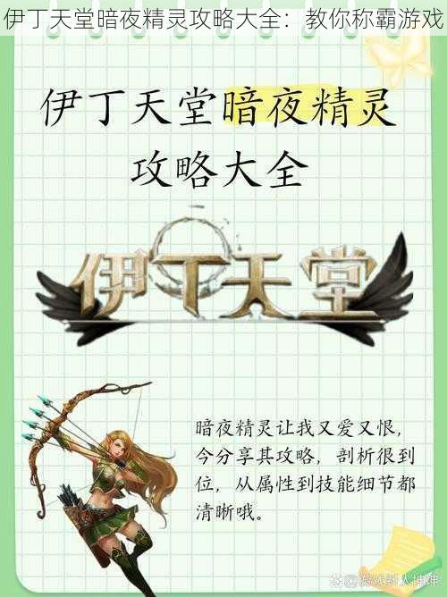 伊丁天堂暗夜精灵攻略大全:教你称霸游戏