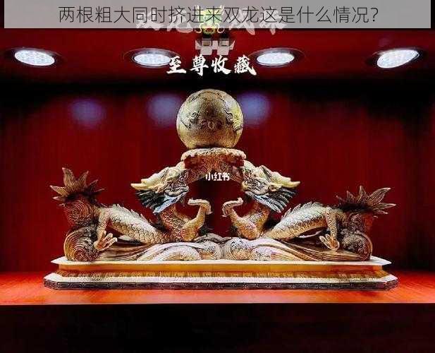 两根粗大同时挤进来双龙这是什么情况?