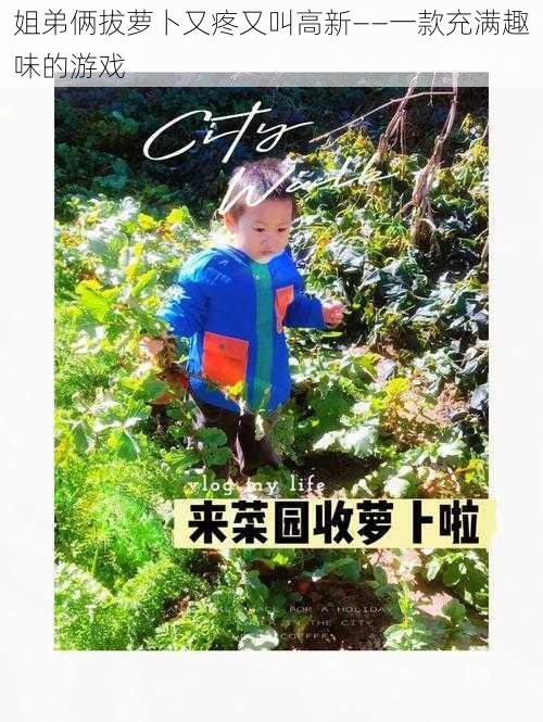 姐弟俩拔萝卜又疼又叫高新——一款充满趣味的游戏