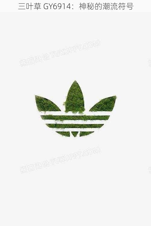 三叶草 GY6914:神秘的潮流符号