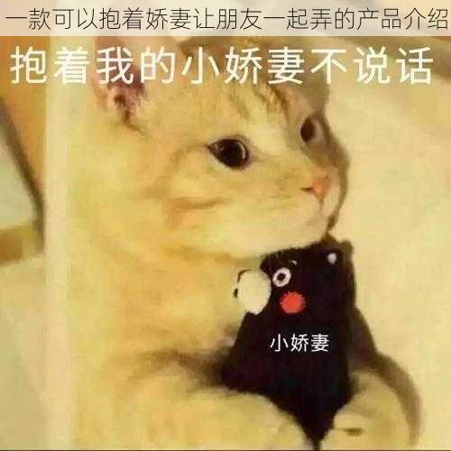 一款可以抱着娇妻让朋友一起弄的产品介绍