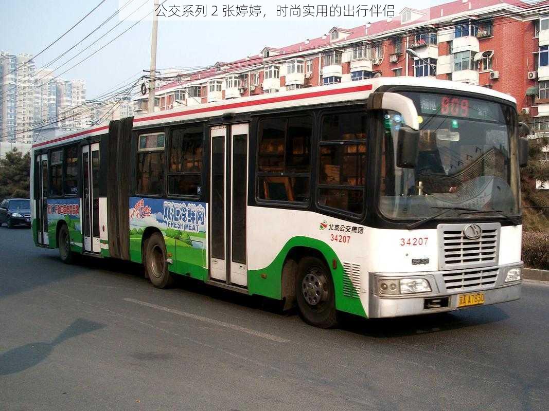 公交系列 2 张婷婷,时尚实用的出行伴侣