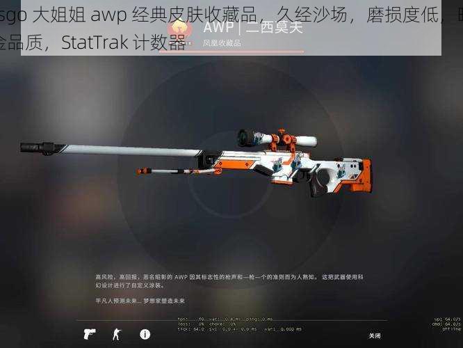 csgo 大姐姐 awp 经典皮肤收藏品,久经沙场,磨损度低,暗金品质,StatTrak 计数器