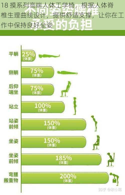 18 摸系列高端人体工学椅,根据人体脊椎生理曲线设计,提供舒适支撑,让你在工作中保持良好坐姿