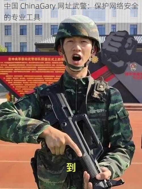 中国 ChinaGary 网址武警:保护网络安全的专业工具