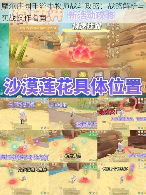 摩尔庄园手游中牧师战斗攻略:战略解析与实战操作指南