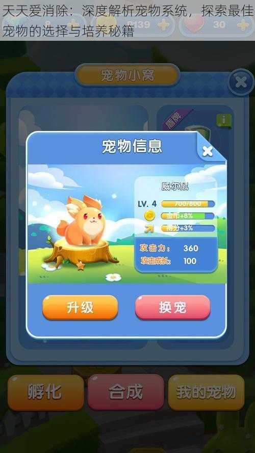 天天爱消除:深度解析宠物系统,探索最佳宠物的选择与培养秘籍