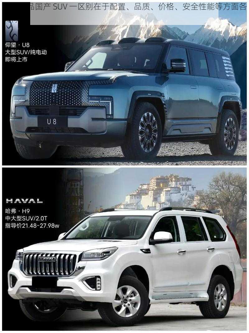 亚洲精品国产 SUV 一区别在于配置、品质、价格、安全性能等方面各具特色