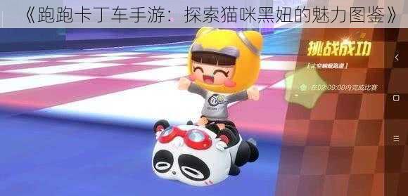 《跑跑卡丁车手游:探索猫咪黑妞的魅力图鉴》