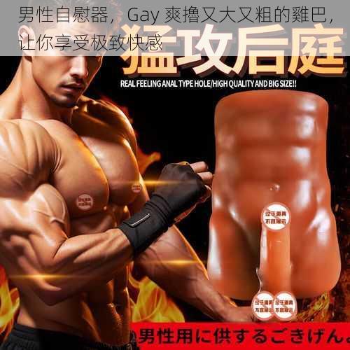 男性自慰器,Gay 爽擼又大又粗的雞巴,让你享受极致快感