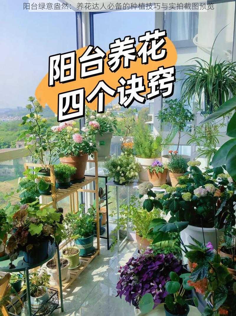 阳台绿意盎然:养花达人必备的种植技巧与实拍截图预览