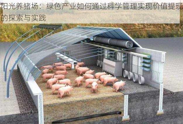 阳光养猪场:绿色产业如何通过科学管理实现价值提现的探索与实践