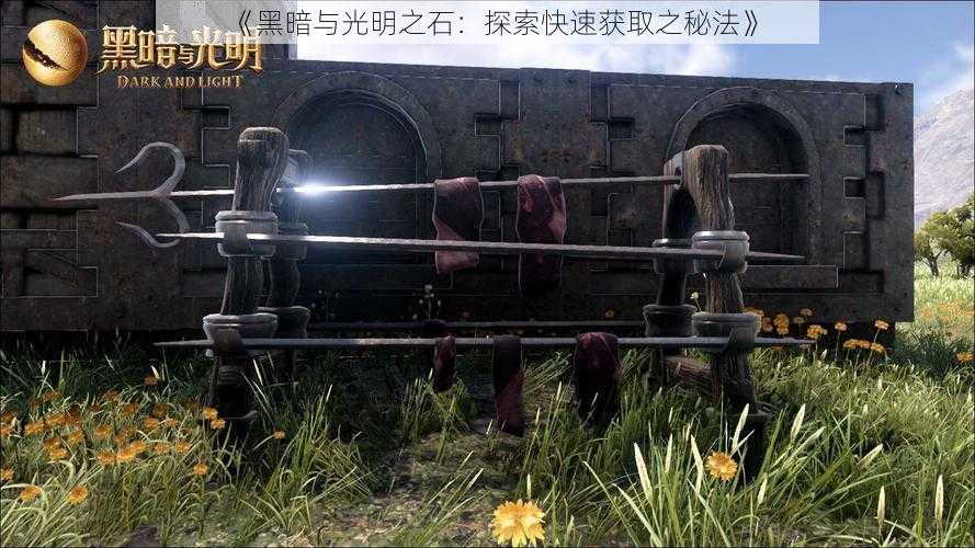 《黑暗与光明之石:探索快速获取之秘法》