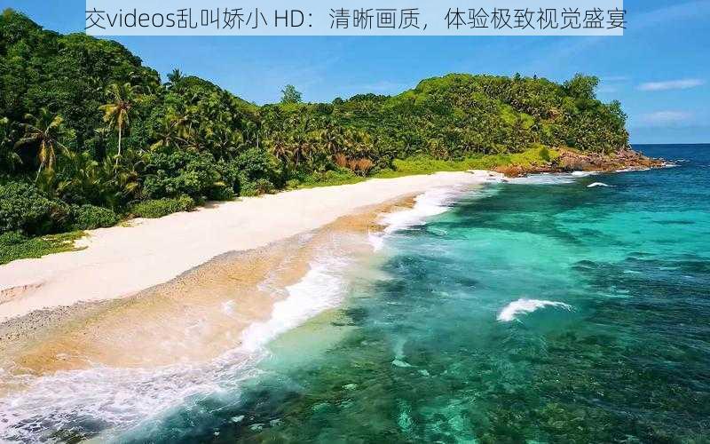 交videos乱叫娇小 HD:清晰画质,体验极致视觉盛宴